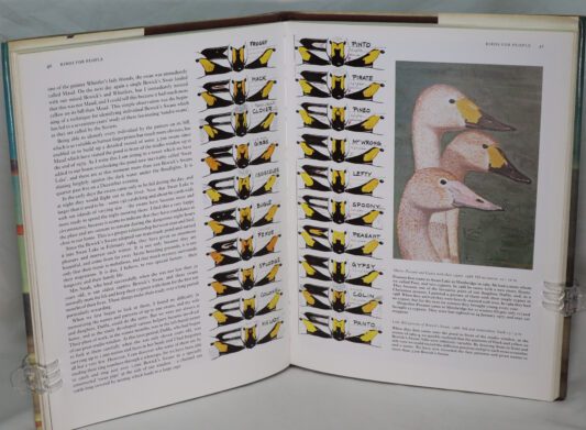 Peter Scott. Observations of Wildlife. - Image 2