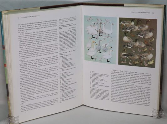 Peter Scott. Observations of Wildlife. - Image 5