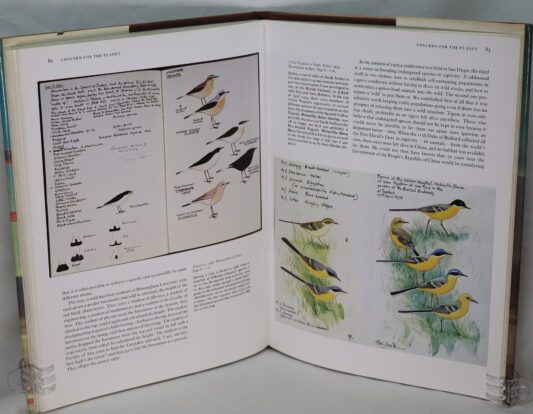 Peter Scott. Observations of Wildlife. - Image 4