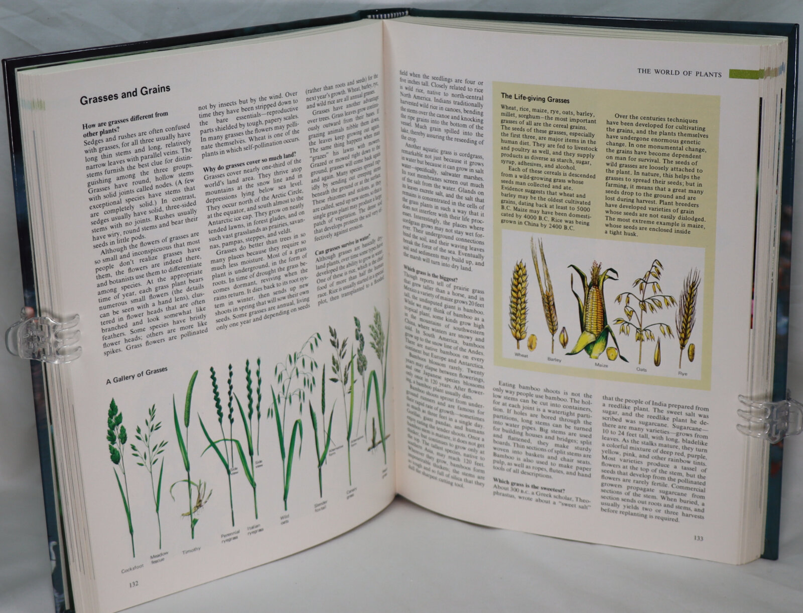 Reader's Digest Family Guide to Nature. - Image 2