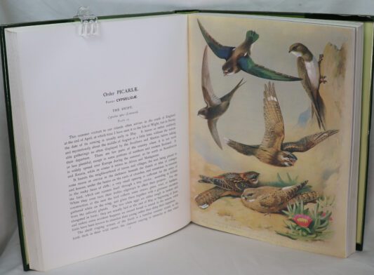 The Complete Thorburn's Birds. - Image 2
