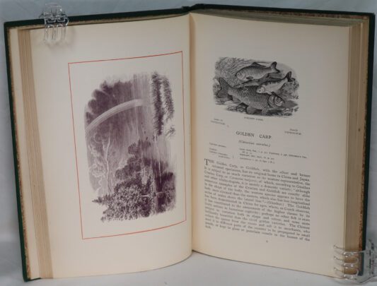 British Freshwater Fishes. by Rev. W Houghton. - Image 2
