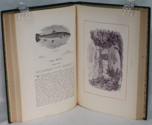 British Freshwater Fishes. by Rev. W Houghton. - Image 5