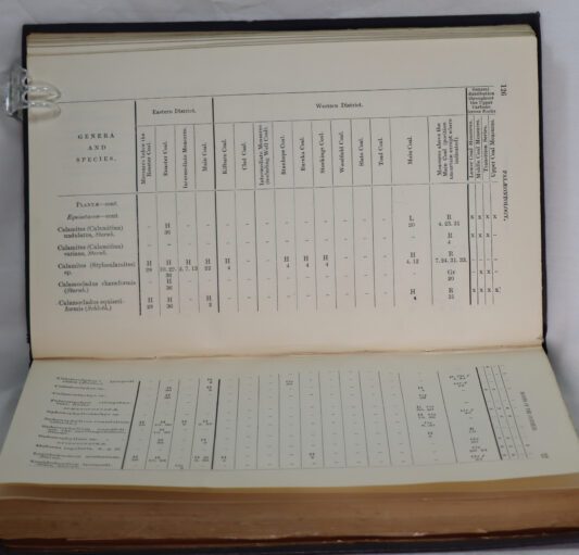 The Geology of Leicestershire and South Derbyshire Coalfield. - Image 3