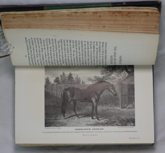 Sporting Stories. - Image 5
