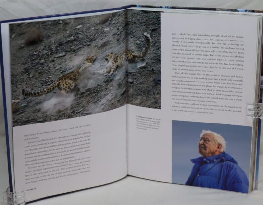 Planet Earth. - Image 3