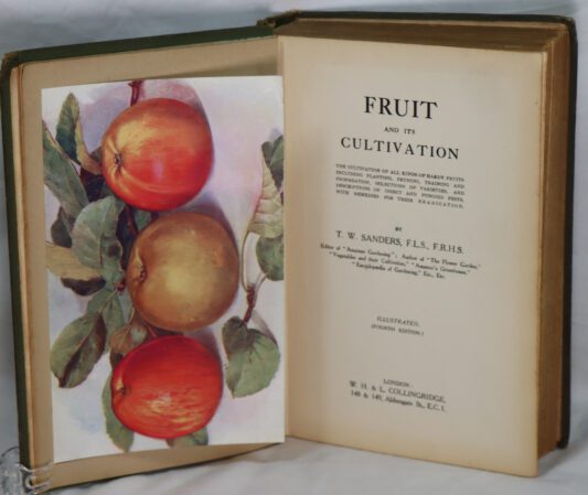 Fruit and It's Cultivation. - Image 4