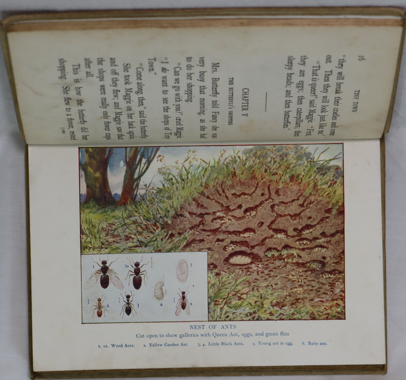 Tiny Town. - Image 5