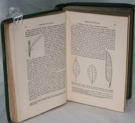 The Manual of Botany. - Image 3