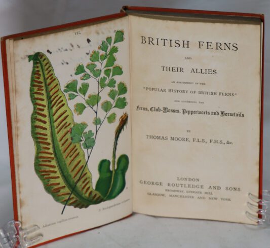 British Ferns and their Allies. - Image 2