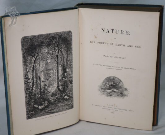 Nature. - Image 2