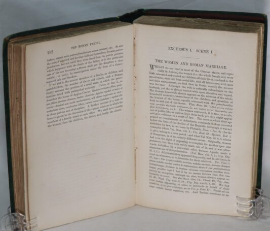 Becker's Gallus. - Image 3
