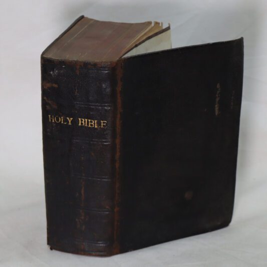 The Holy Bible. 1876.