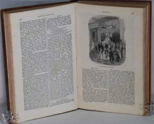 The Visitor. 1845. - Image 5