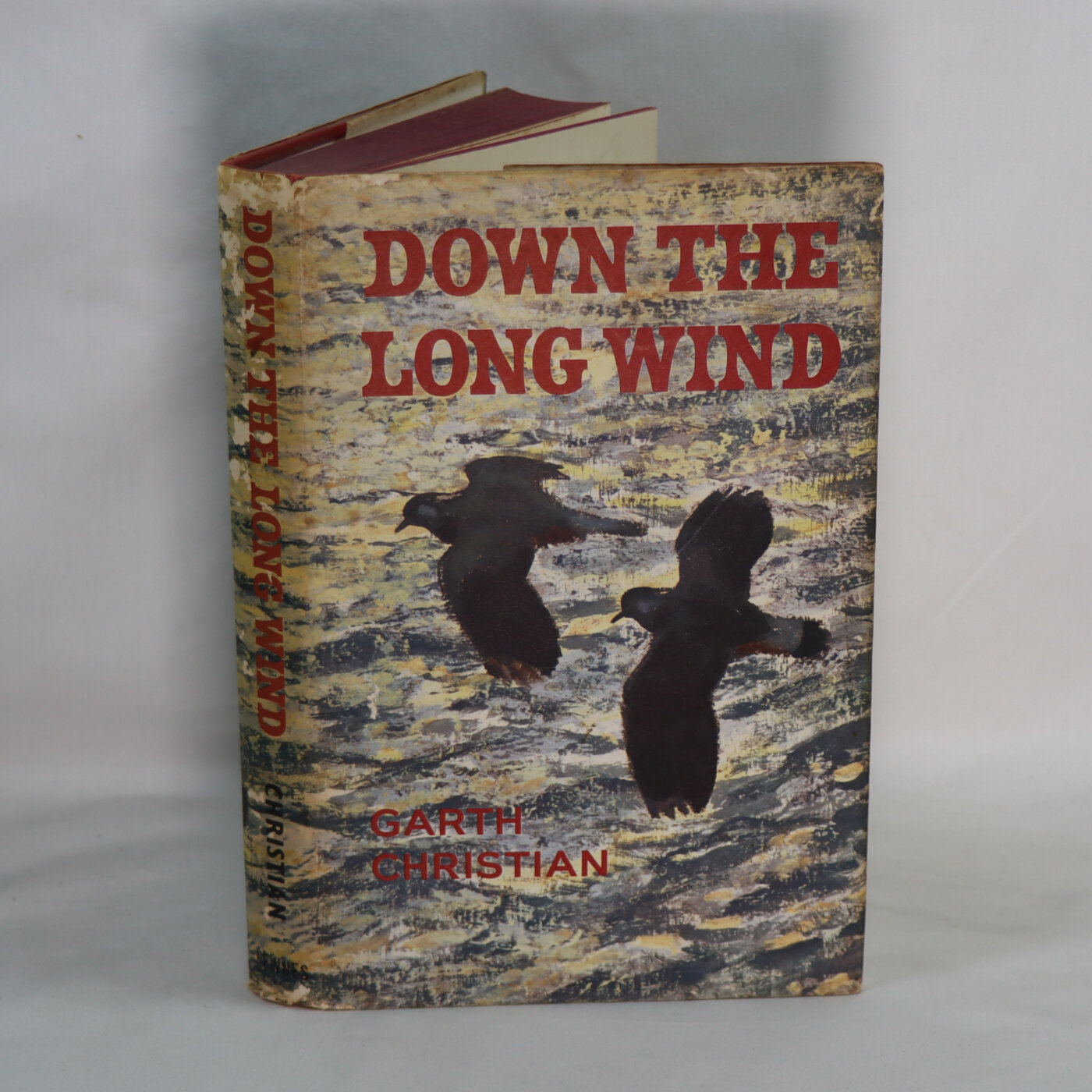 Photo of Down the Long Wind.