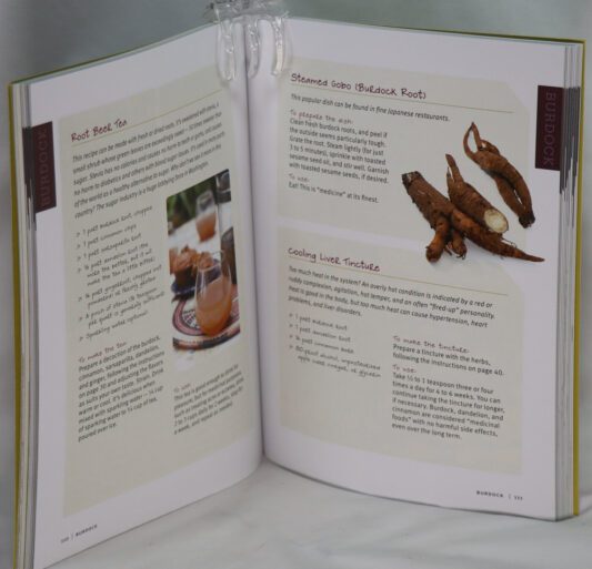 Medicinal Herbs. - Image 3