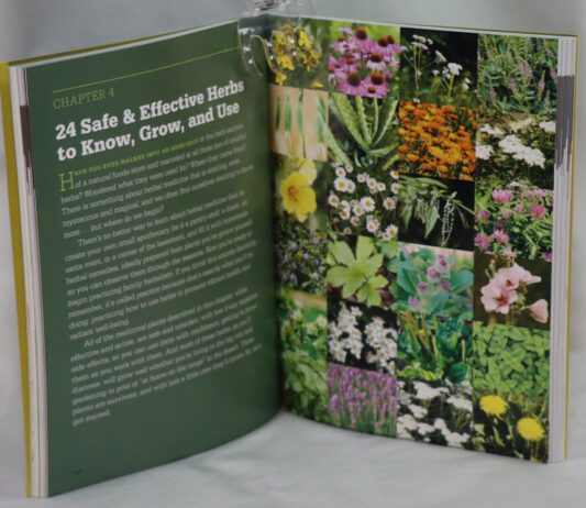 Medicinal Herbs. - Image 2