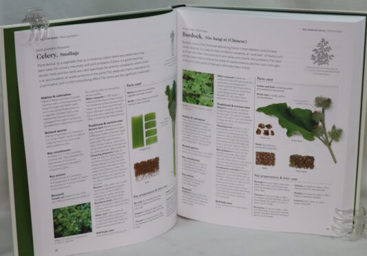 Encyclopedia of Herbal Medicine. - Image 5