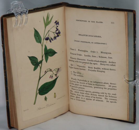 Steggall on Poisons. - Image 4