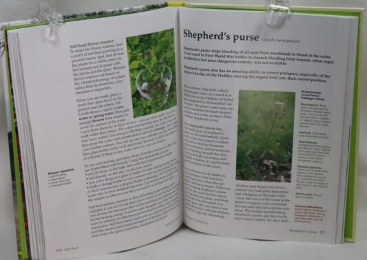 Hedgerow Medicine. - Image 5
