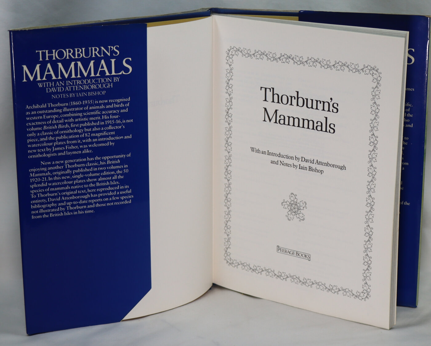 Thorburn's Mammals. - Image 2