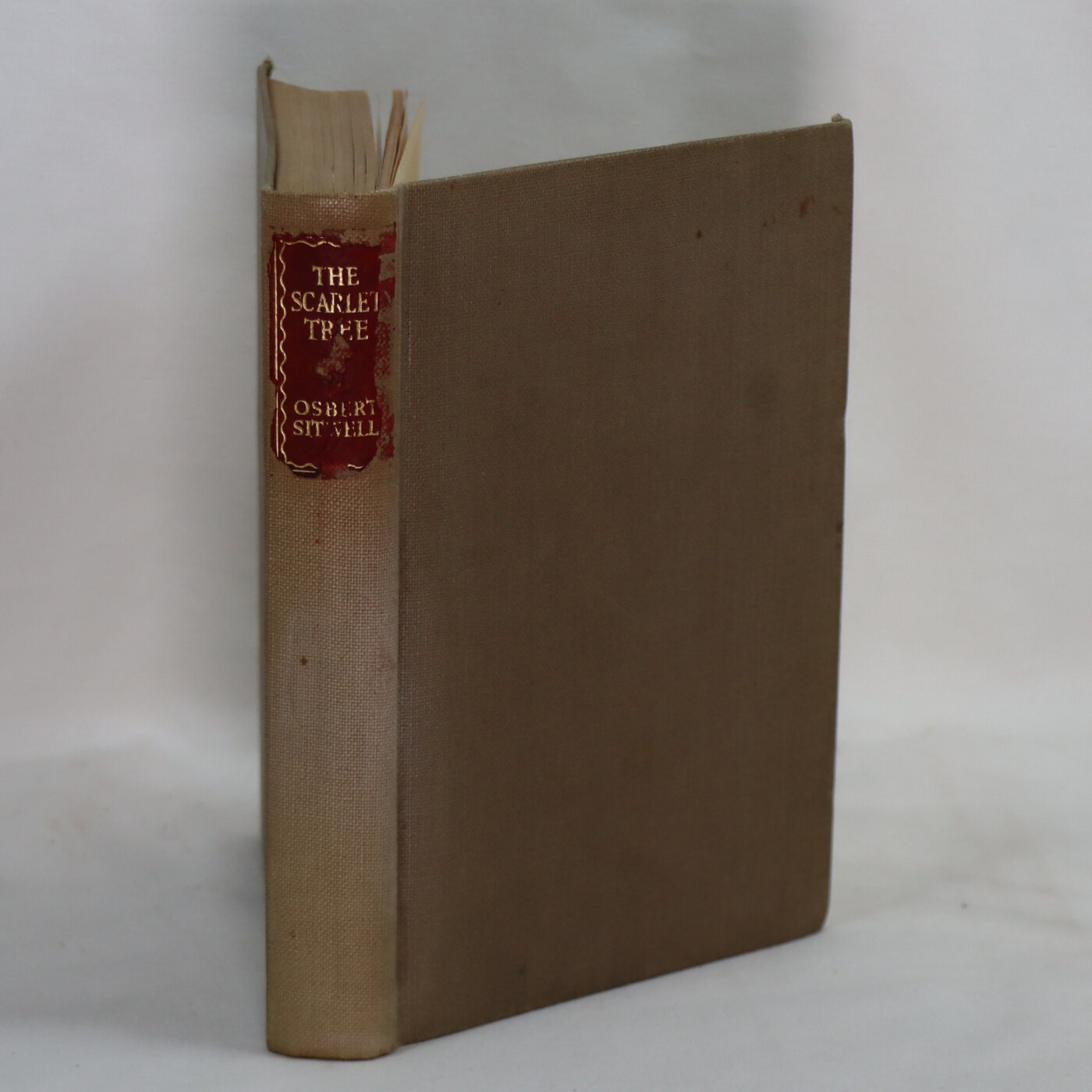 Photo of The Scarlet Tree.