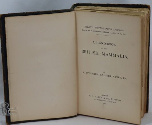 British Mammals. Allen's Naturalists' Library. - Image 5