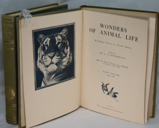 Wonders of Animal Life. Volumes I & II. - Image 3