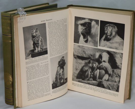 Wonders of Animal Life. Volumes I & II. - Image 6