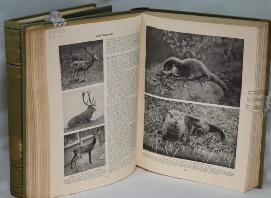 Wonders of Animal Life. Volumes I & II. - Image 5