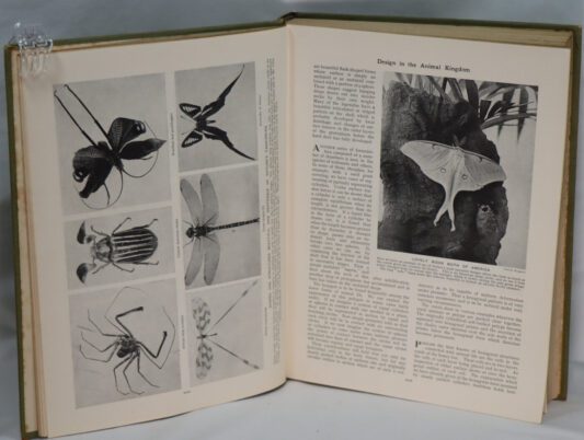 Wonders of Animal Life. Volumes I & II. - Image 4