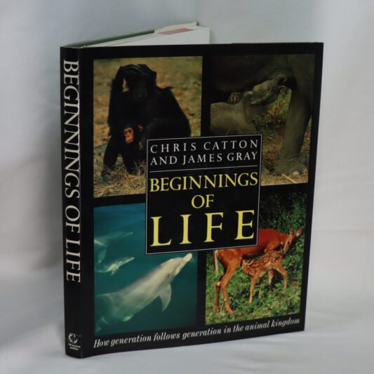 Beginnings of Life.
