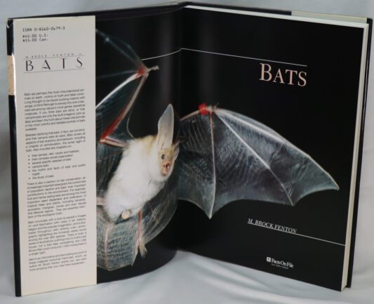 Bats. - Image 4