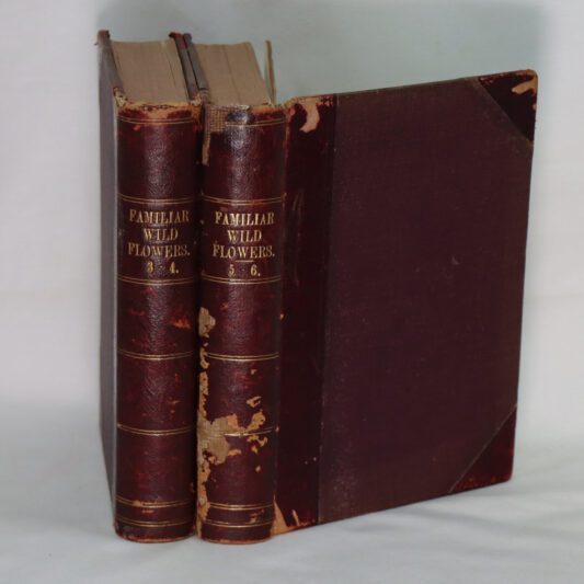 Familiar Wild Flowers. Two Volumes (3-4 and 5-6 series).