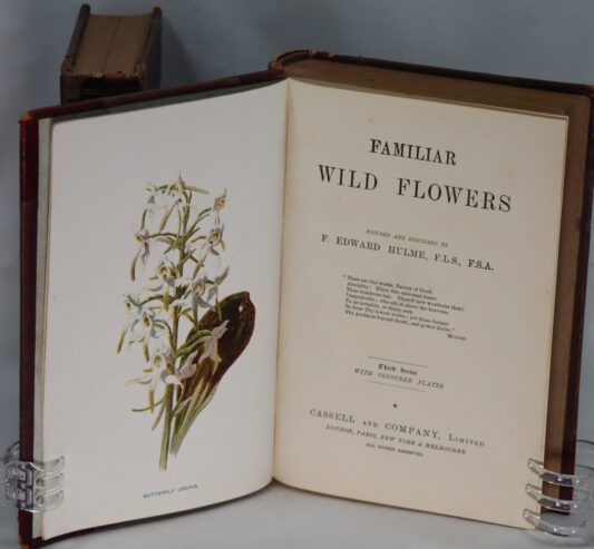 Familiar Wild Flowers. Two Volumes (3-4 and 5-6 series). - Image 6