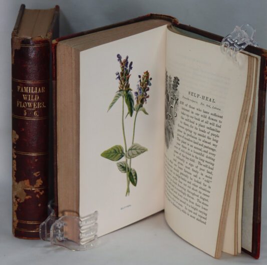 Familiar Wild Flowers. Two Volumes (3-4 and 5-6 series). - Image 5