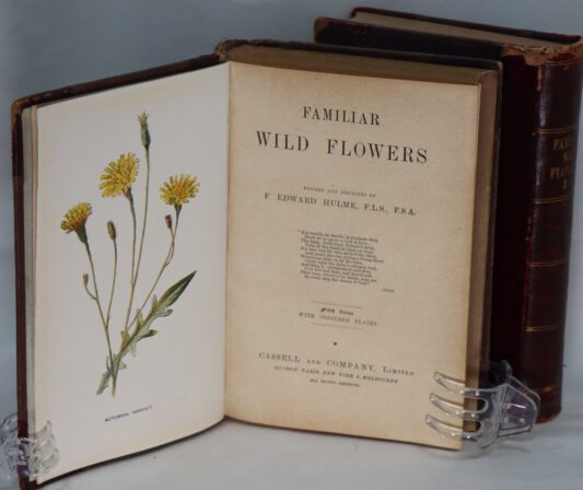 Familiar Wild Flowers. Two Volumes (3-4 and 5-6 series). - Image 4