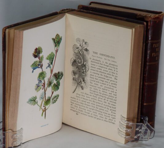 Familiar Wild Flowers. Two Volumes (3-4 and 5-6 series). - Image 3
