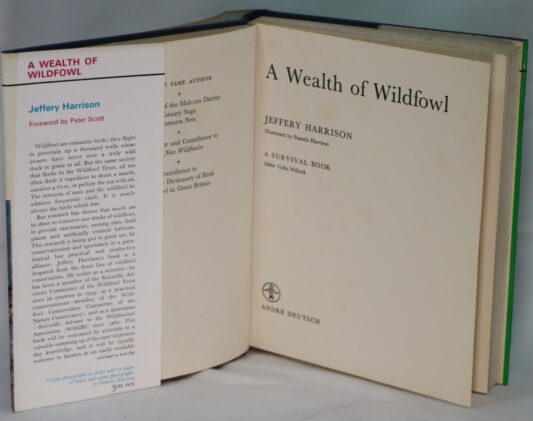A Wealth of Wildfowl. - Image 3