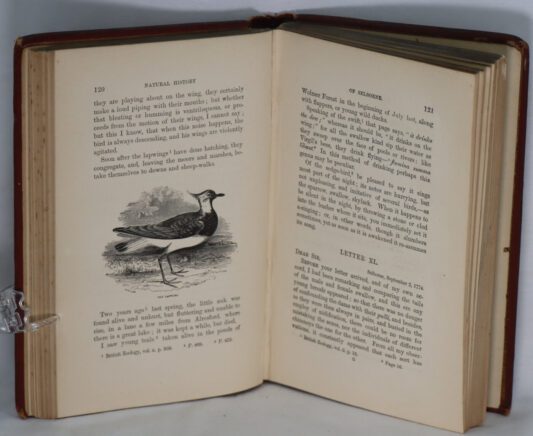 The Natural History of Selborne. - Image 6