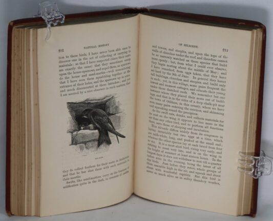 The Natural History of Selborne. - Image 5