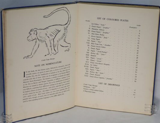 Just Monkeys. - Image 5
