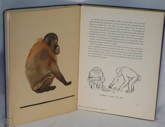 Just Monkeys. - Image 7