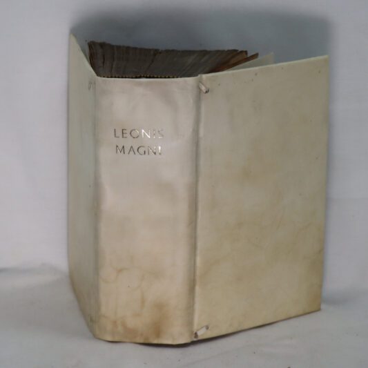 Leonis Magni. - Image 2