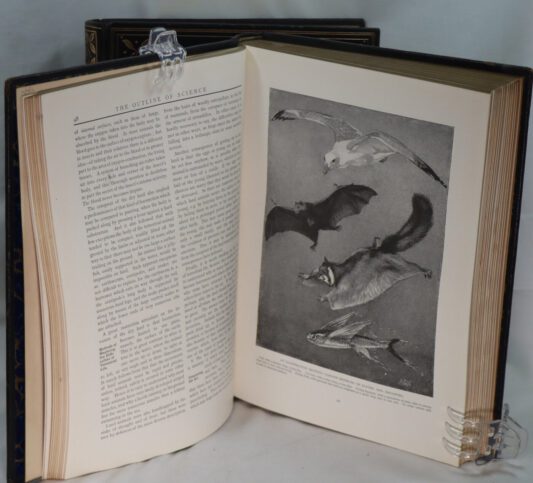 The Outline of Science. Vols. I & II. - Image 4