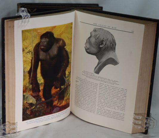 The Outline of Science. Vols. I & II. - Image 3