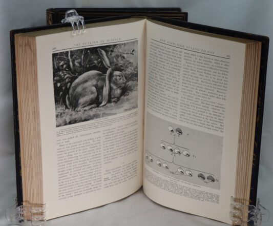 The Outline of Science. Vols. I & II. - Image 2