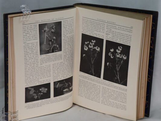 The Outline of Science. Vols. I & II. - Image 10
