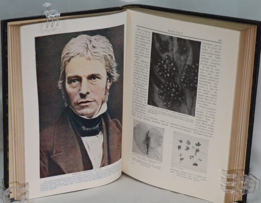 The Outline of Science. Vols. I & II. - Image 12