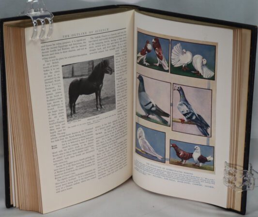 The Outline of Science. Vols. I & II. - Image 8